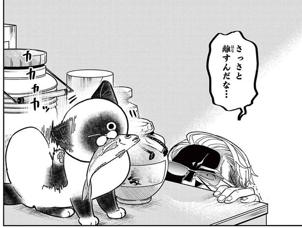 野良猫がアジを奪って逃走！ 警察が駆けつけるまさかの騒動に発展 （C）片倉頼／小学館