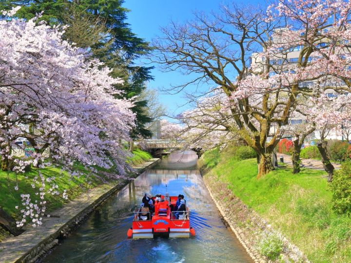 All About ニュース編集部が全国250人を対象に実施した「北陸・甲信地方の桜の名所に関するアンケート」の調査結果から、富山で行ってみたい＆好きな桜の名所ランキングを発表！ 2位「松川べり（富山市）」を抑えた1位は？