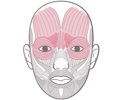 眉間とおでこのしわが気になる！原因は「表情の作り方のクセ」