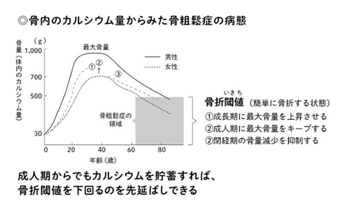 林泰史「骨粗鬆症治療へのアプローチ③骨粗鬆症の病態と症状」日医雑誌第124巻第9号2000年より