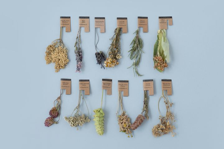 ル・ベネフィック「セレブレーション」全12種類が並んだ状態