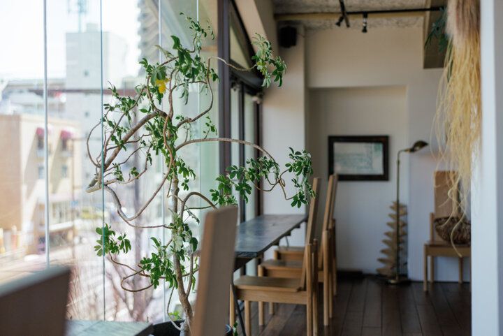 自然の素材を大切にしたお菓子に満たされる、名古屋・本山の「bonieu」