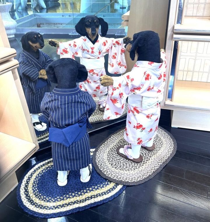 2階でも見つけました、サンシャイン2匹！ 浴衣を来て、鏡越しにゲストをお見送りしてくれます。