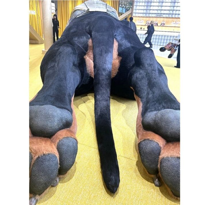 入り口を入ると、すぐに13mの巨大なダックスフンドのサンシャインくんがお出迎え。