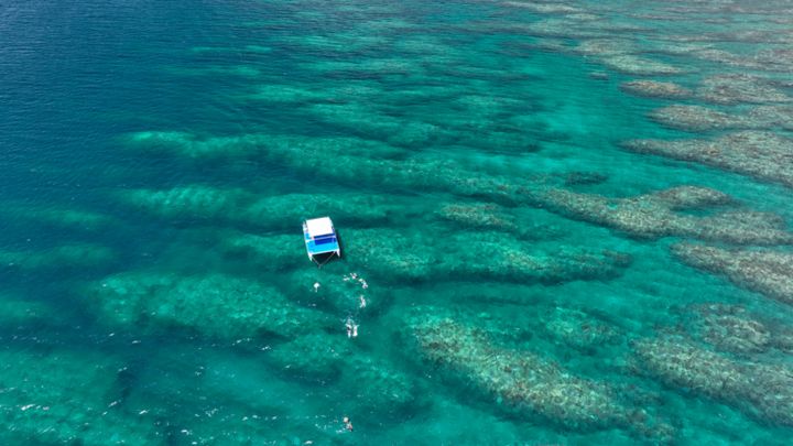 石垣島 フサキビーチリゾート アクティビティ