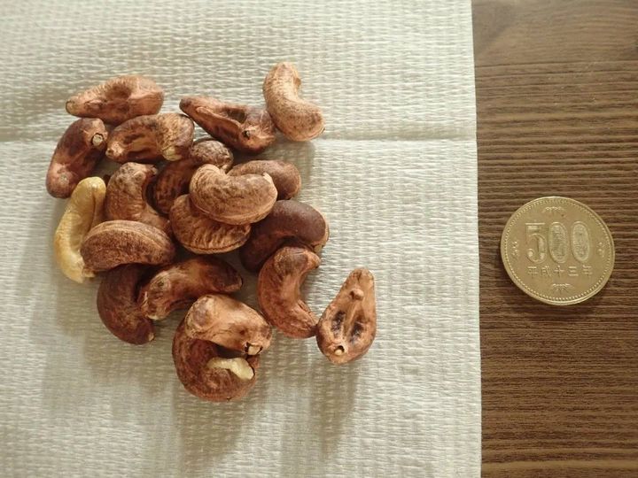 DAISO(ダイソー)：フォスター 食塩無添加皮付きカシューナッツ 30g