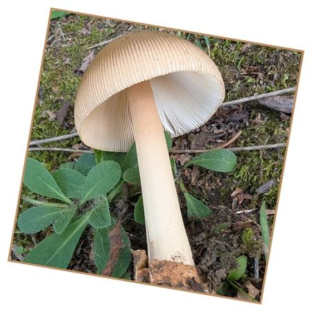 【東京都江東区】食がテーマの実践型ゼミ「食べるゼミ」開催！「食べる」という行為を多角的に学ぶ