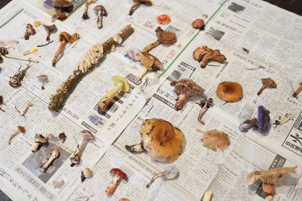 【東京都江東区】食がテーマの実践型ゼミ「食べるゼミ」開催！「食べる」という行為を多角的に学ぶ