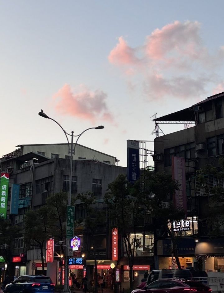 台湾🇹🇼日記【FUDGENA SPECIALIST：真雪の日常、古着日記 vol.43】