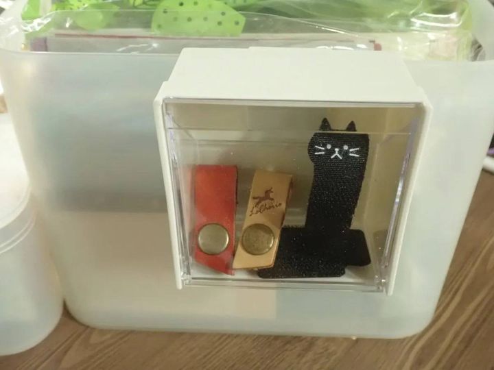 DAISO(ダイソー)：クリップスイングケース