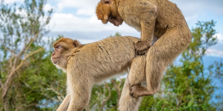 なぜ「男性のGスポット」は裏にあるのか？