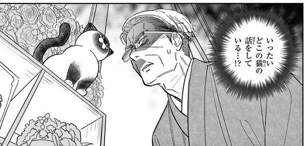 キャラ変わってる!? 近所の花屋にいたのは見覚えのある野良猫だが （C）片倉頼／小学館