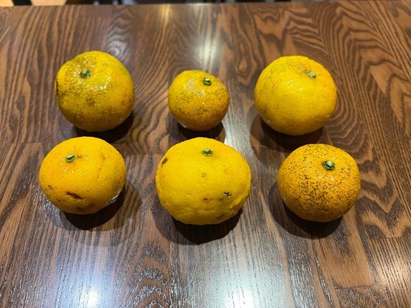 【大阪府箕面市・能勢町】柚子と山椒を使う「和のスパイスソーセージ」発売！北摂スパイス研究所でメニュー提供