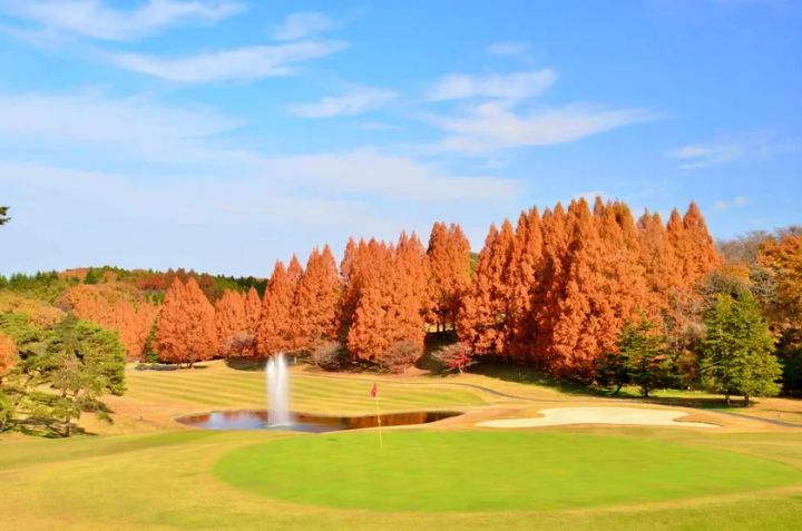 紫塚ゴルフ倶楽部の鉄板焼きステーキコース