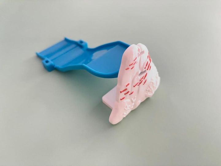 画像4: 出典：ftn_pics