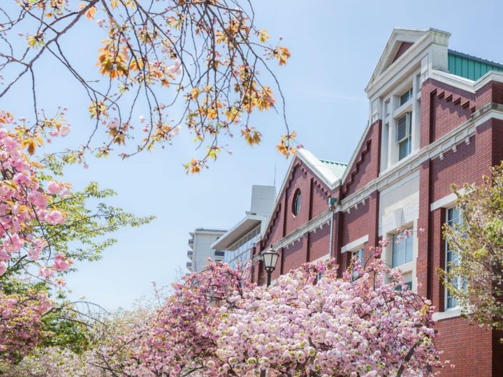 All About ニュース編集部が全国250人を対象に実施した「桜の名所に関するアンケート」の調査結果から、大阪で行ってみたい＆好きな桜の名所ランキングを発表！ 2位「造幣局 桜の通り抜け」を抑えた1位は？