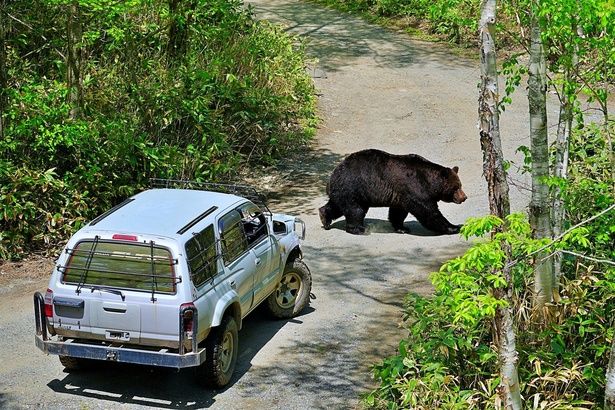 いざというときにすぐに車に戻れる動線を確保しておくことが大事だという ※画像はイメージです (C)はっさく