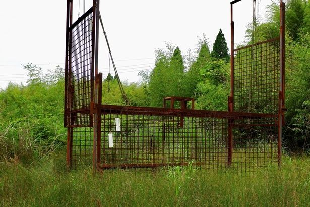 クマを捕獲するための罠の設置が活動のメインなのだという ※画像はイメージです (C)写遊人