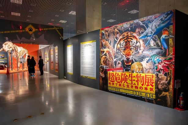 会場エントランスの様子