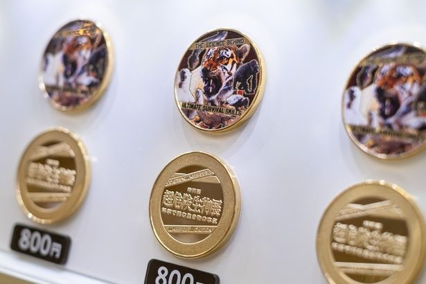 昔懐かしい記念コイン(800円)