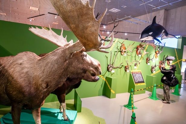 ラボ3の様子。たくさんの角が並ぶ様は圧巻！