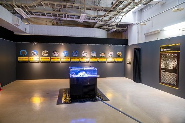 第2会場「生体研究ゾーン」の展示。中央に「Don't touch pool」が設置されている