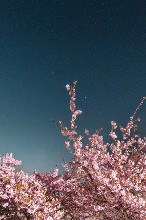 【東京都台東区】「ホテルリソル上野」内のアートギャラリーでPhotographer Sho氏の作品を期間限定展示