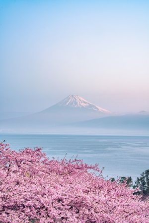 【東京都台東区】「ホテルリソル上野」内のアートギャラリーでPhotographer Sho氏の作品を期間限定展示