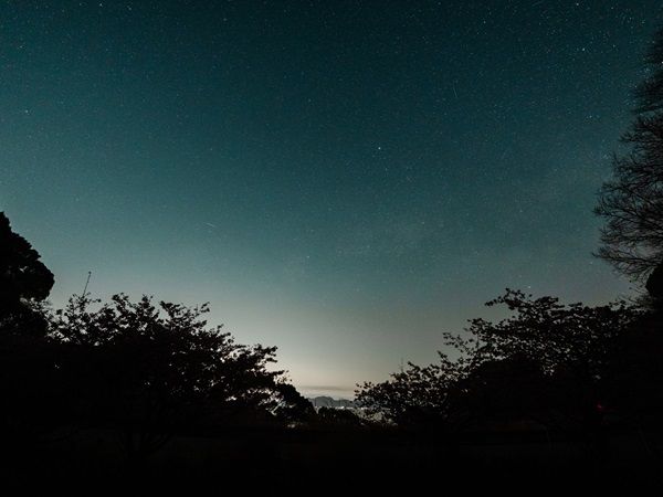 【東京都台東区】「ホテルリソル上野」内のアートギャラリーでPhotographer Sho氏の作品を期間限定展示