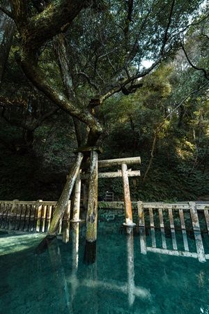 【東京都台東区】「ホテルリソル上野」内のアートギャラリーでPhotographer Sho氏の作品を期間限定展示