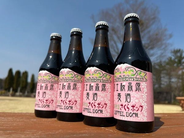 桜の開花に合わせて醸造した「さくらボック」発売中！長期熟成させたプレミアムビール