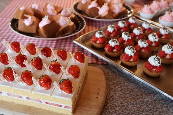 【大阪府大東市】「Keitto」でピクニックイベント開催！ショーやシール交換会、グルメや体験企画など