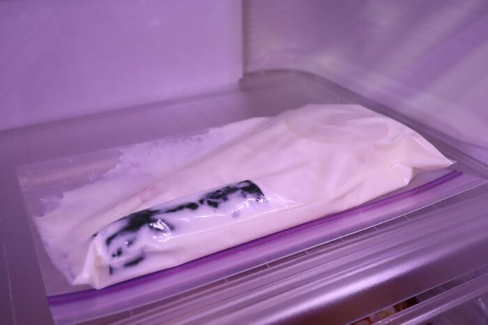 いつものヨーグルトに『塩』を入れてみて！甘くない食べ方がめちゃウマでした♡〈塩ヨーグルト漬け〉にチャレンジ