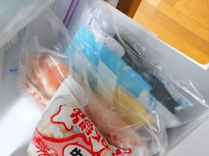 冷凍庫で余りがちな「小さな保冷剤」をスマートに収納する方法。やってみたら快適すぎた♡