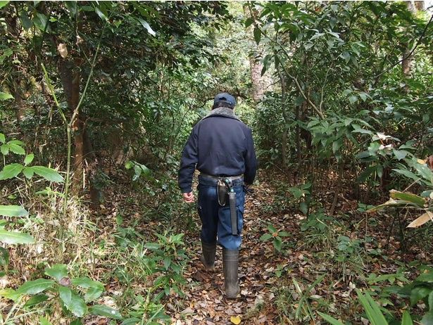  森の様子を確かめる。管理は、まず“観察”から始まる