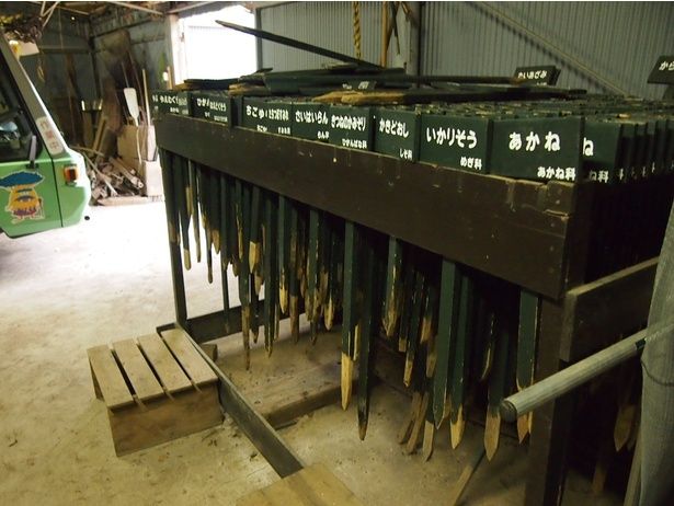 倉庫に並ぶ、手作りの木製ラベル。植物の数だけ、名前がある