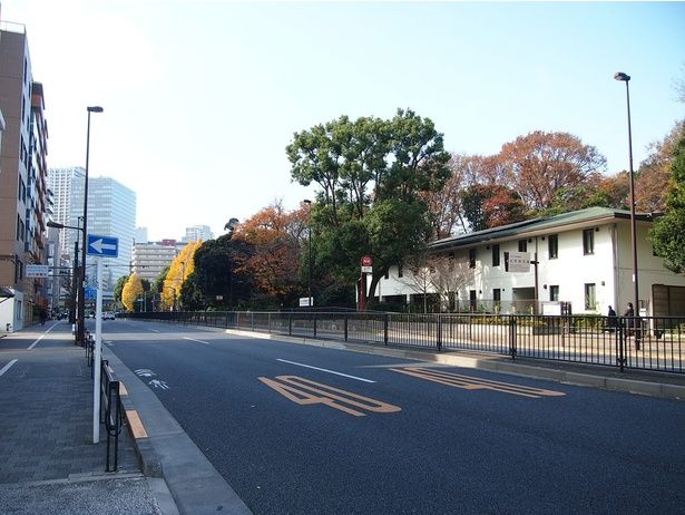  駅から続くまっすぐな道。ベビーカー、車椅子、どんな人にも歩きやすい