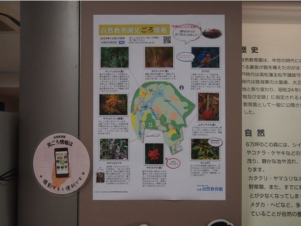 あれ、どこだ、見つからない時間すら心地いい。大人のための宝探しの地図、“見ごろ情報”をチェックしよう
