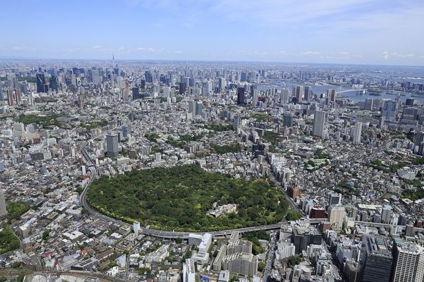 森の空気は、都市を確かに支えている。平均マイナス4度の“天然クーラー” 画像提供：国立科学博物館附属自然教育園