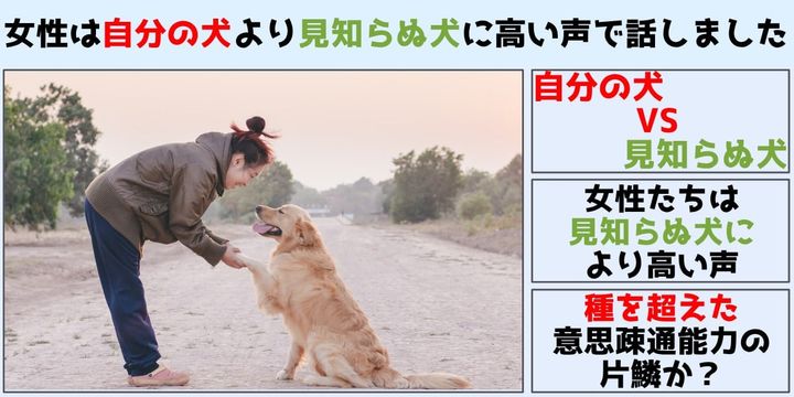 女性は「自分の犬」よりも「見知らぬ犬」に高い声で話しかける