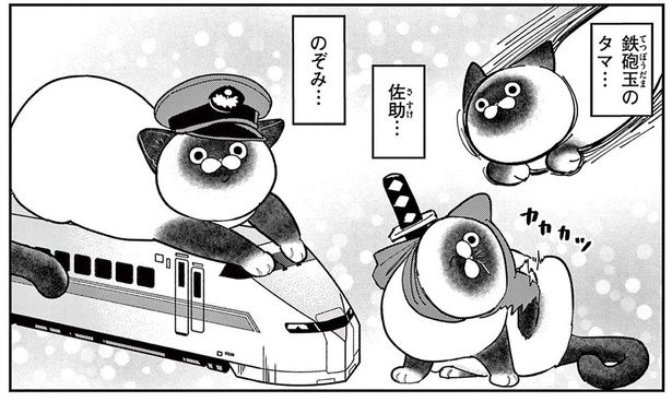 鉄砲玉のタマ？ 元極道が野良猫の命名に悩みまくった結果 （C）片倉頼／小学館