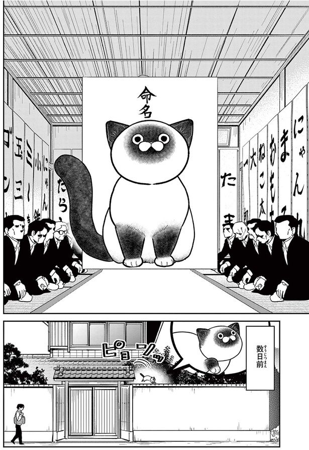 数日前 （C）片倉頼／小学館