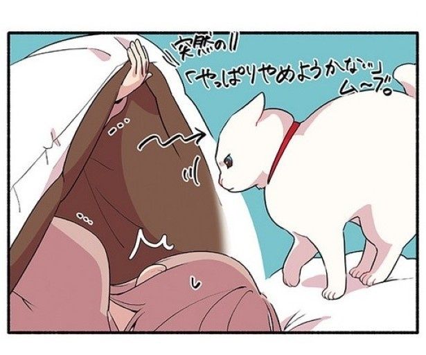 慎重で神経質な猫あるある！ 久川はる(@hisakawa_haru)