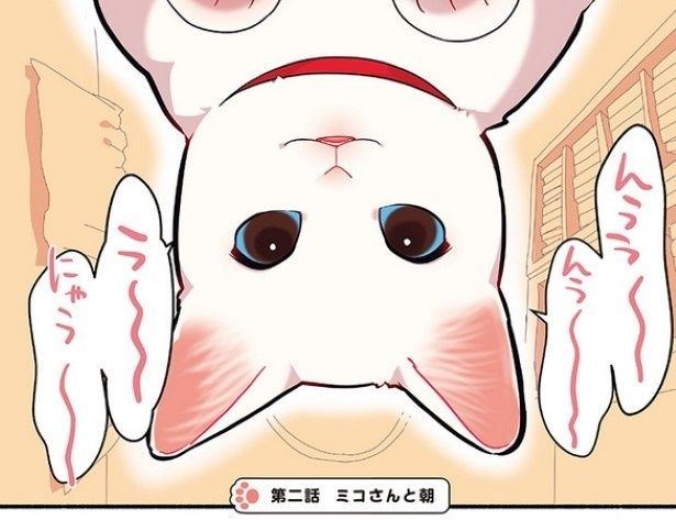 目を覚ますと猫がのぞき込んでいた！なんという幸せ!! 久川はる(@hisakawa_haru)