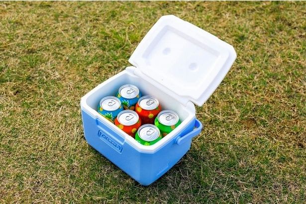 350ミリリットル缶6本がぴったり収納可能※ 国内の一般的な350ミリリットル缶を想定。飲料メーカーにより缶のサイズ感が異なる場合あり。