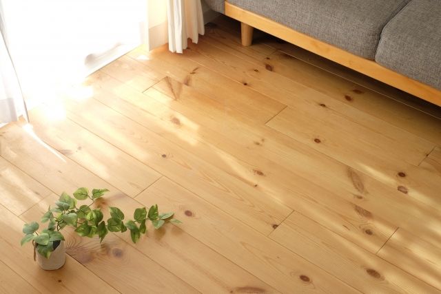 綺麗に片付いた木のフローリング 観葉植物とソファとカーテンから差し込む日光