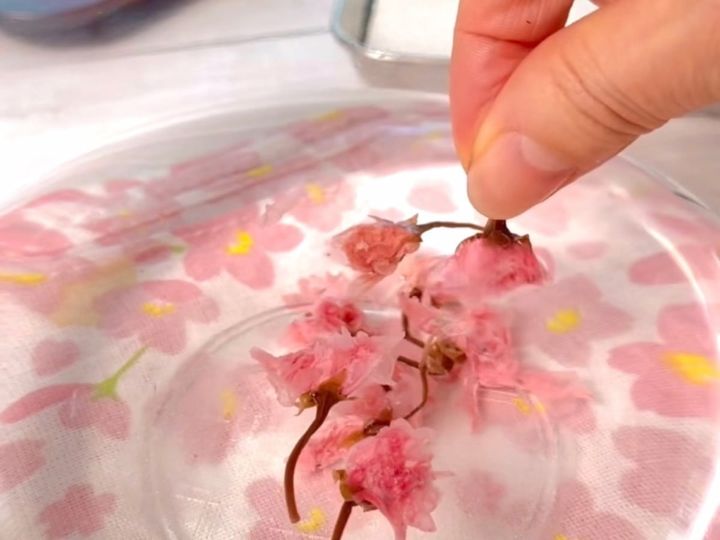 桜フィナンシェ