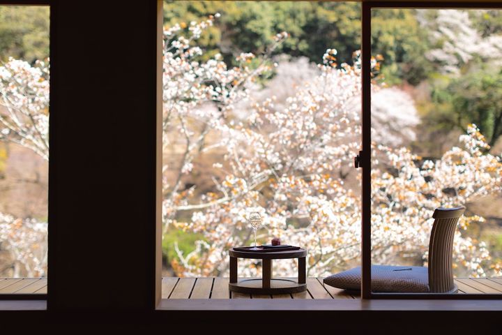 目の前で桜を楽しめる空中茶室