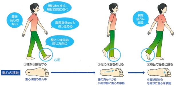 【画像】正しい“歩き方”のポイント