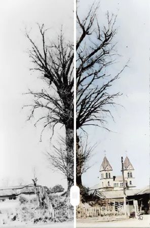 宇都宮の歴史・文化を未来へつなぐデジタルミュージアムOPEN！白黒写真も募集中